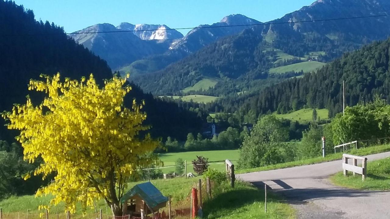 Ferienhof Ammann Bad Hindelang Esterno foto